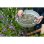 Garten Sieb Nature Durchmesser 37 cm Maschenweite 6 mm