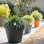 Pot EDA Toscane 76 L Terracotta 59 cm