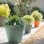 Pot EDA Toscane 76 L Terracotta 59 cm