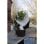 Nature Winterschutz Manta Nicht Gewebt 30 g/m2 UV Luftdurchl 2x5 m