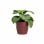 Cache-pot Artevasi San Remo Rouge Brillant 42 cm Plastique Intérieur
