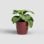 Cache-pot Artevasi San Remo Rouge Brillant 42 cm Plastique Intérieur