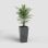 Macetero Artevasi Pisa carré 45 L plastique anthracite résistant UV