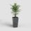 Macetero Artevasi Pisa carré 45 L plastique anthracite résistant UV