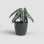 Pot de fleurs Artevasi San Remo Autorriego Diametre 30 Gris Anthracite