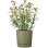 Vaso Garden Id Plano Reserve Autoirrigacao 14 L Diametro 29 cm Verde Musgo