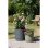 Vaso Garden Id Plano Reserve Autoirrigacao 14 L Diametro 29 cm Verde Musgo