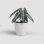 Pot Artevasi San Remo SWS 30 BR Auto-arrosage Blanco