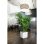 Vaso Cubo Lechuza Cube Premium 40 Bianco lucido con irrigazione integrata