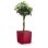 Vaso Cubo Lechuza Cube Premium 40 Bianco lucido con irrigazione integrata