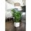 Vaso Cubo Lechuza Cube Premium 40 Bianco lucido con irrigazione integrata