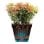Pot de fleur Elho Loft Urban Square High 37 Blanc