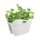 Pot de balcon Elho Vibia Campana Flower Bridge 40 cm 10 L