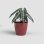 Pot Artevasi San Remo Autorriego 30 cm Rouge Fonce Brillant
