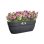 Pot suspendu Elho Vibia Campana Easy Hanger Large Anthracite 7,5 L