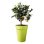 Jardinière Elho Loft Urban ronde grise avec réservoir d'eau intégré 34 cm