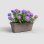 Pot Venezia L SWS Reserve d Eau Integree Taupe Mat