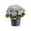 Jardinière Elho Green Basics Cylindrique 65 cm Noire 92 L Extérieur