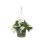 Pot suspendu Greenville Elho 24 cm Vert Feuille 6,4 L