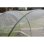 Malla Anti-insectos Nature Voile Blanca 1,8 x 1,8 mm 2 Rollos 10 m