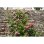 Enrejado Nature extensible de bambú 45 x 180 cm natural