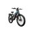 Vélo électrique Puluma PE86 500W 48V 20Ah 26'' 40 km/h 70 km autonomie