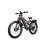 Elektrische fiets Puluma PE86 PRO Dubbel motor 500W