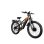 Elektrische fiets Puluma PE86 PRO Dubbel motor 500W