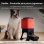 Comedero Automático WiFi Molly&Cody 14 L para Mascotas
