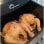 Airfryer Little Balance Crousty Light XL 7 L 1600 W Touchscreen