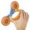 Auriculares Hama Kids Guard con cable jack 3,5 mm para niños, azul y naranja