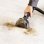 Bissell SpotClean HydroSteam Select Aspirador para Tapicerías 1000W + Detergente Spot & Stain 1L