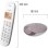 Schnurloses Telefon Logicom Iloa 155t Taupe mit Anrufbeantworter Freisprech