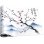 Tapis de souris The G-lab Pad Sakura XXL 900x400x4 mm antidérapant