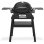 Barbecue à gaz Weber Q 1200 N Noir avec support 2,94 kW allumage piezo