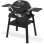 Barbecue à gaz Weber Q 1200 N Noir avec support 2,94 kW allumage piezo