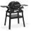 Barbecue à gaz Weber Q 1200 N Noir avec support 2,94 kW allumage piezo