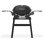 Barbecue a gaz Weber Q 2200n avec support et 4,11 kW