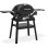 Barbecue a gaz Weber Q 2200n avec support et 4,11 kW