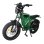 Bicicletta Elettrica Baolujie DM01 Motore 2000W Batteria 60V25Ah