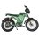 Bicicletta Elettrica Baolujie DM01 Motore 2000W Batteria 60V25Ah