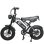 Vélo Électrique Baolujie F2 500W Batterie 48V 13Ah Pneus 16 Pouces