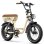 Elektrische Fiets OneSport W77 250W 48V 18Ah 20