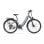 Elektrische Fiets OneSport OT05 Pro 250W Accu 22.5Ah
