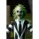 Beetlejuice Toony Terrors 15 cm PVC Collectible NECA