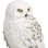 Figura Hedwig Harry Potter Estatua Decorativa 24 Cms