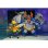 Pack Figuras Wingnut Y Screwloose Tmnt Articuladas 18 Cms