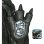 Figura Chilantaisaurus Jurassic World Rebirth Articulada 35 Cms