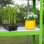 Monster polytunnel serre met gegalvaniseerde rekken 4x2m