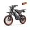 Elektro-Moped TIETIE E5 48V20Ah 80 km 25 km h